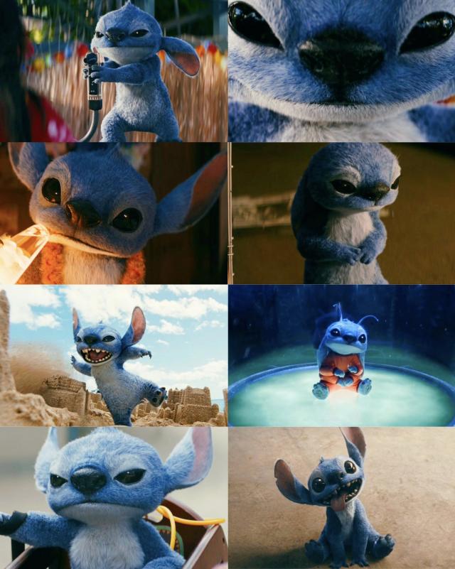 Stitch2025collage.j…